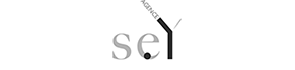 Logo agence Sey